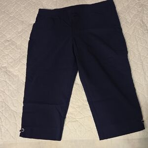 Chico's Deep Blue Capris